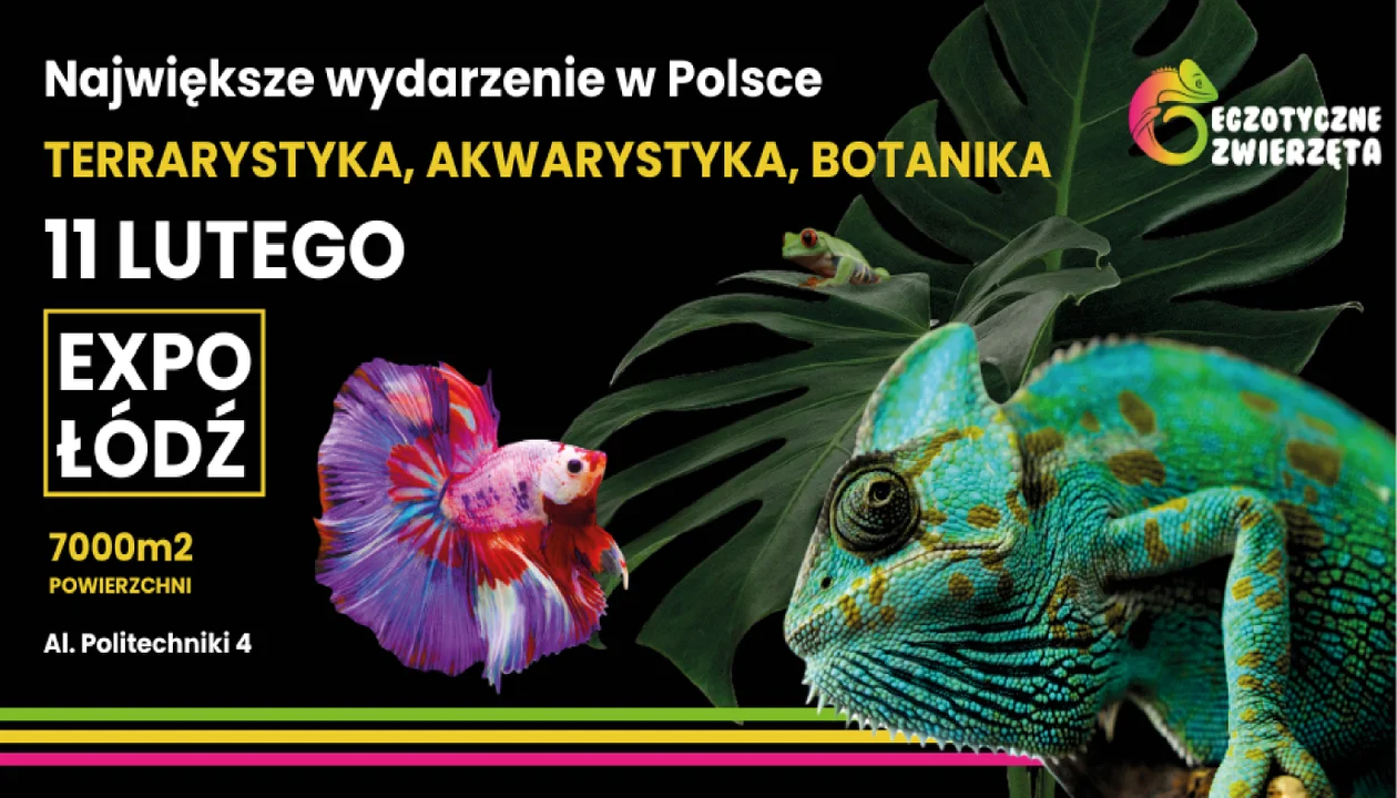 Największe w Polsce Targi Egzotycznych Zwierząt. Hala Expo w Łodzi 11.02. -bilety online - Zdjęcie główne
