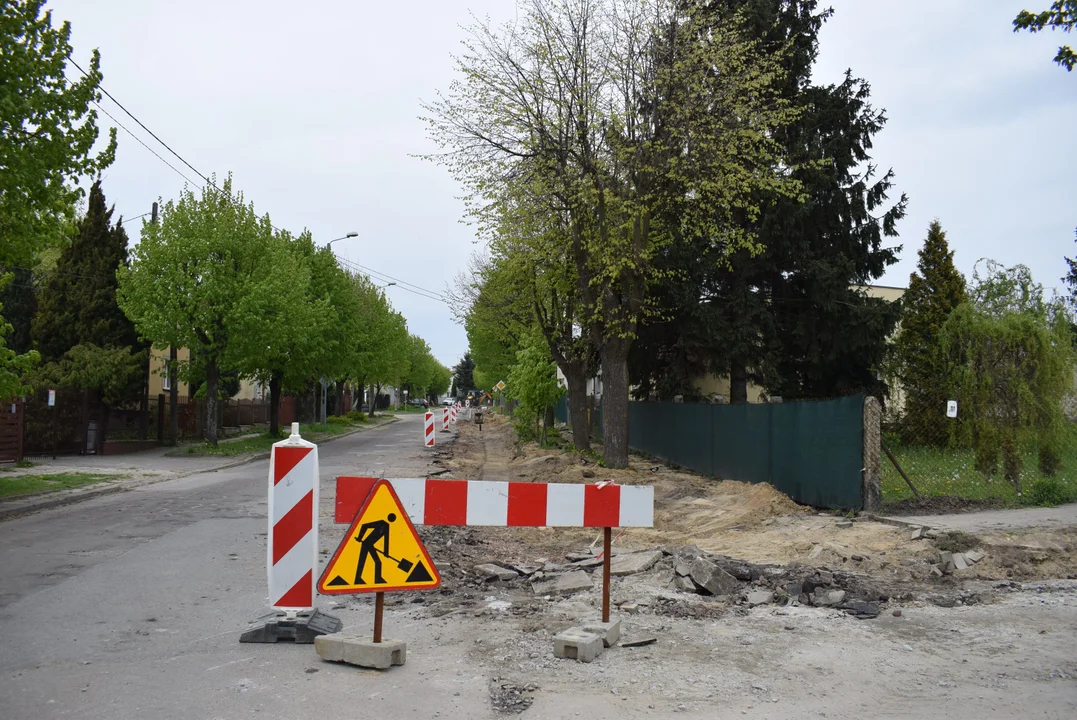 Remont ulicy Fijałkowskiego. Czy znikną z niej drzewa? [ZDJĘCIA] - Zdjęcie główne