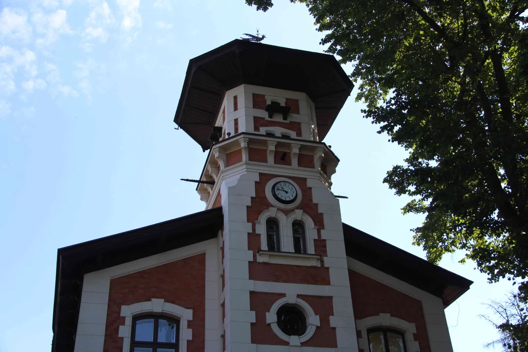 Zachwycający ogród Muzeum Pałacu Herbsta