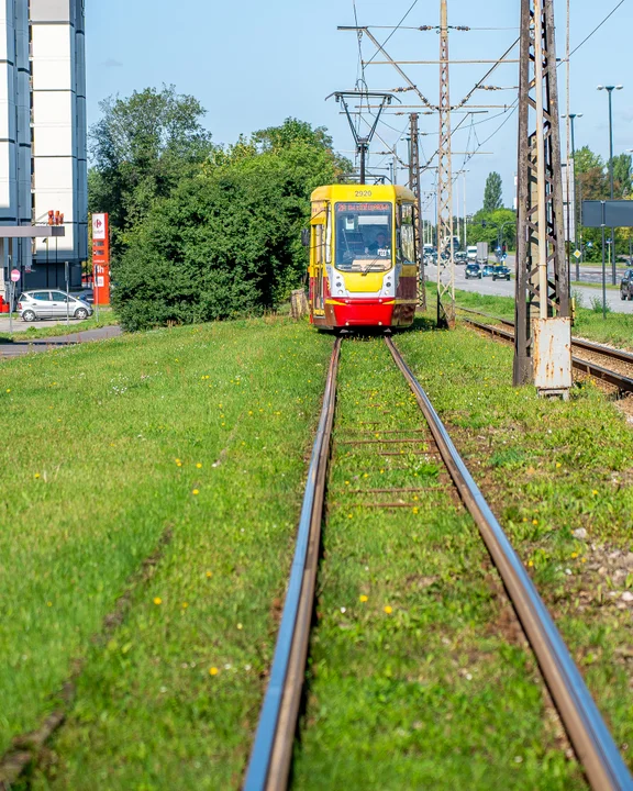 Pętle Teofilów i Żabieniec zostaną przebudowane