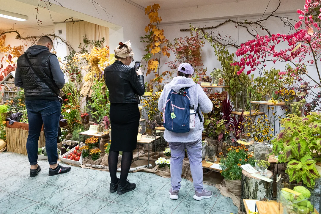 Jesień zawitała do Ogrodu Botanicznego. Zobaczcie zdjęcia z wystawy „Owoce, warzywa, kwiaty” [galeria] - Zdjęcie główne