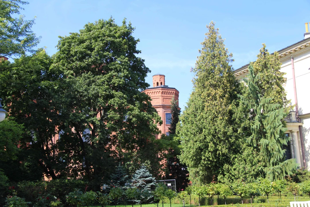 Zachwycający ogród Muzeum Pałacu Herbsta