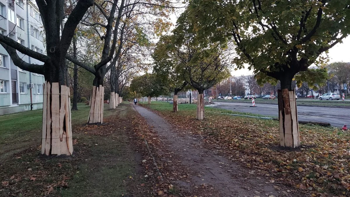 Remontowany odcinek alei między Dąbrowskiego-Przybyszewskiego