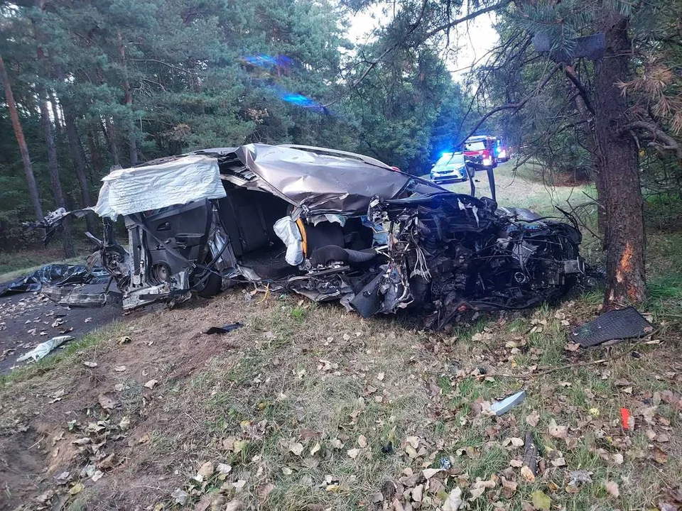 20-letni kierowca rozbił się na drzewie. Koszmarny wypadek na drodze wojewódzkiej 481 [zdjęcia] - Zdjęcie główne