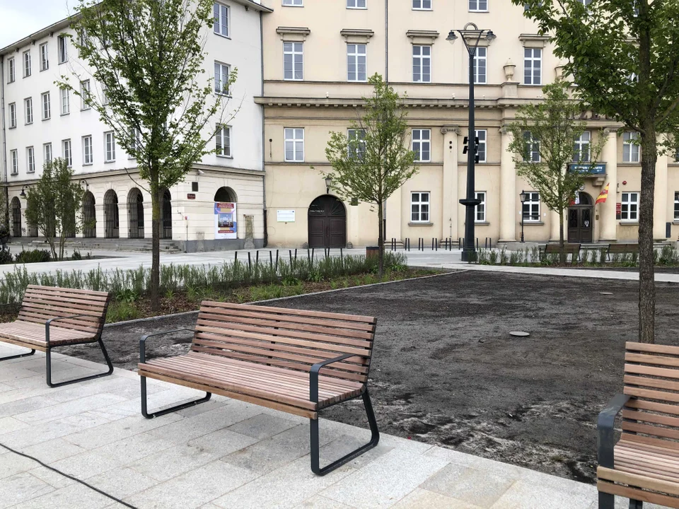 Plac Wolności w Łodzi z nową trawą