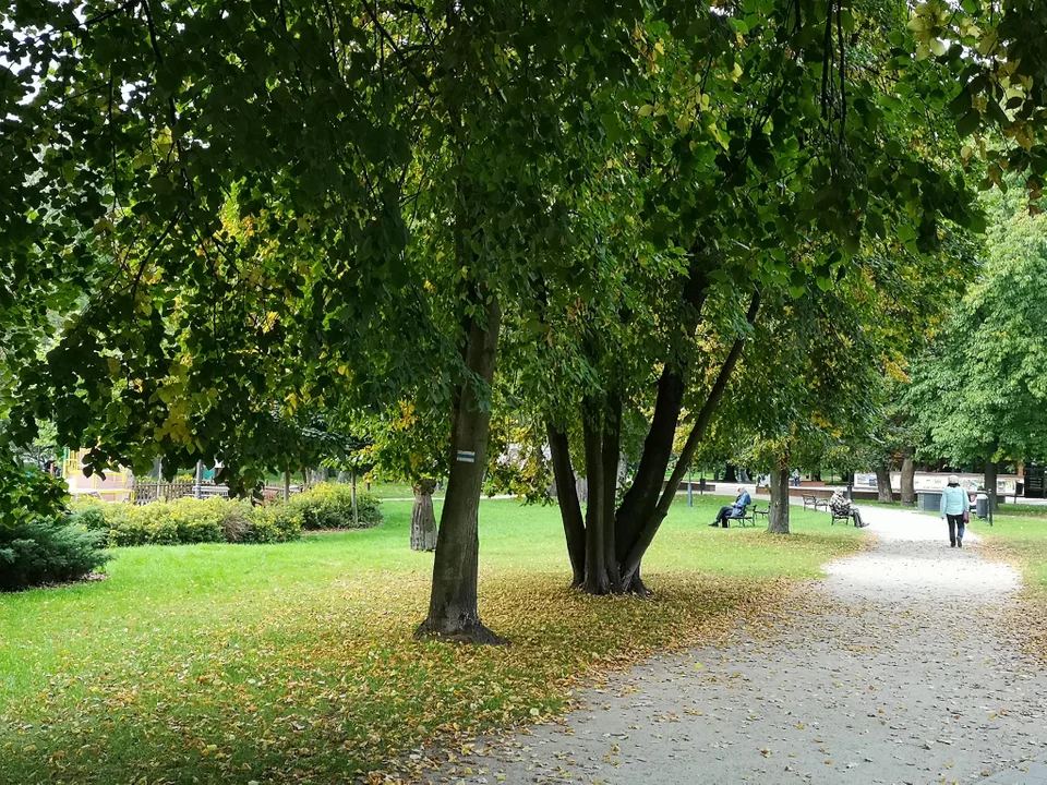 Pierwsze oznaki jesieni w zgierskim parku - zobacz zdjęcia!