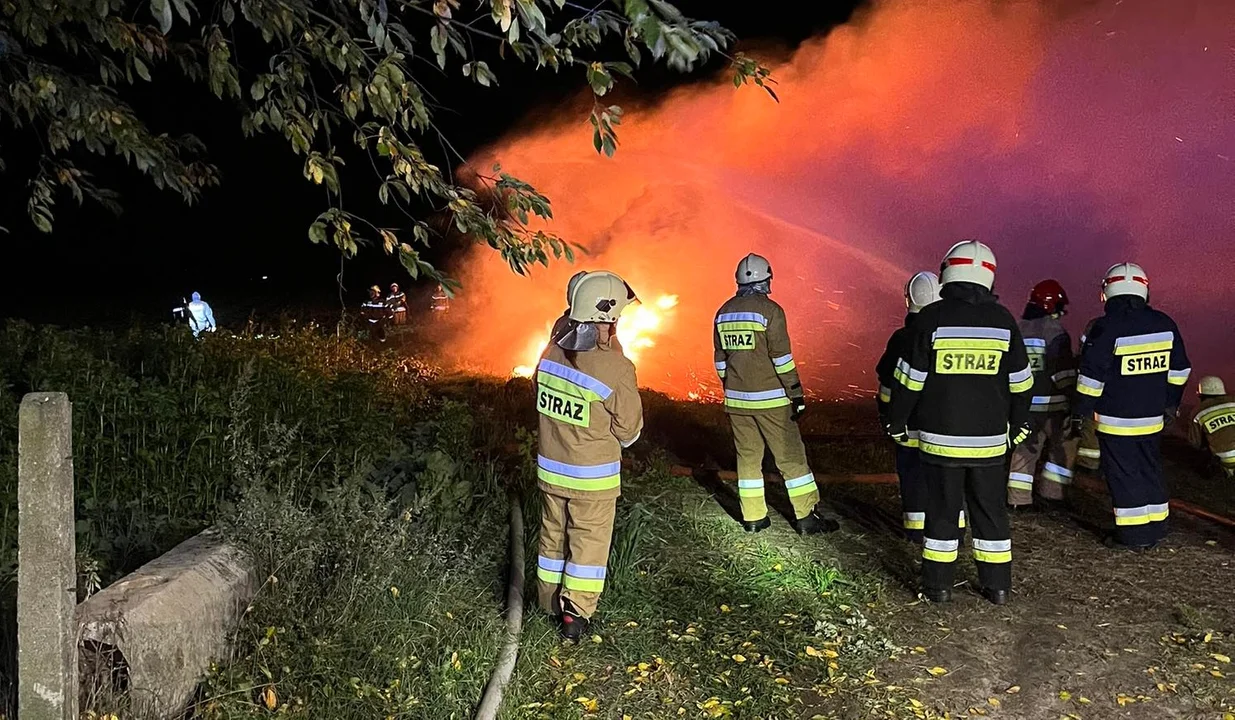 Pożar niedaleko Płocka. W akcji kilka zastępów straży [ZDJĘCIA] - Zdjęcie główne