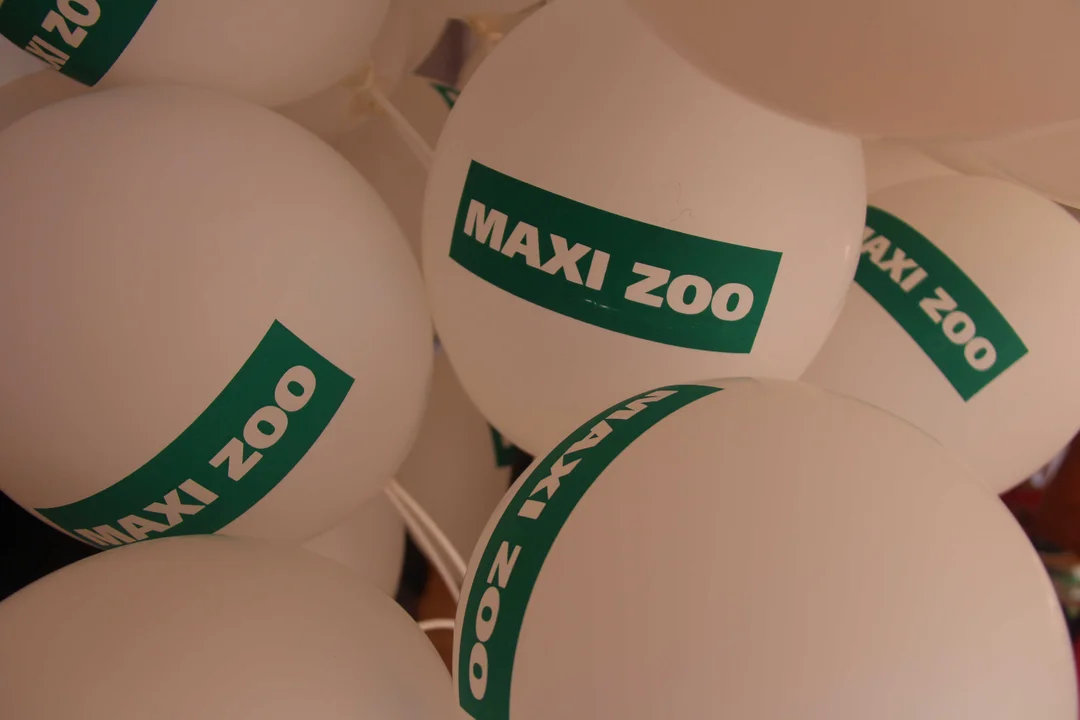 Maxi zoo w Manufakturze. To 100. sklep tej sieci w Polsce