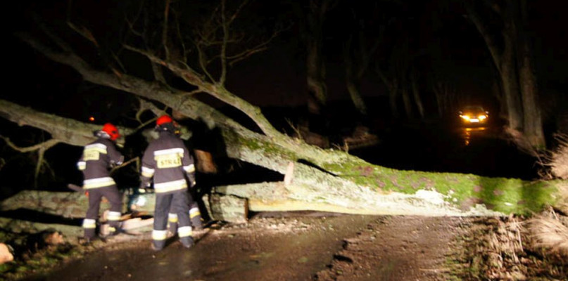 Zerwane dachy i powalone drzewa: Orkan Barbara przeszedł przez region - Zdjęcie główne