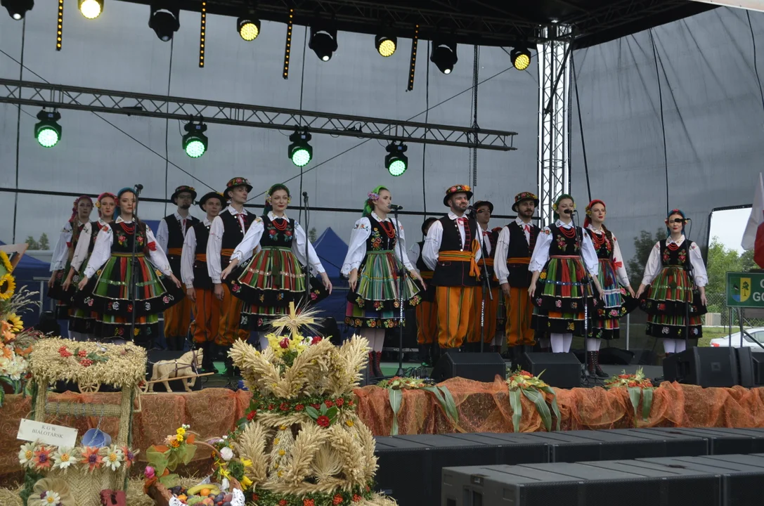 Piękne wieńce, muzyka i śpiew. Za nami dożynki gminno-parafialne w Białotarsku [ZDJĘCIA] - Zdjęcie główne