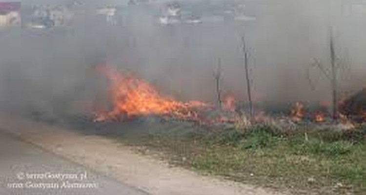 Dwa pożary w Lisicy - Zdjęcie główne