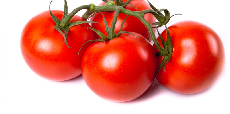 Darmowe pomidory pod Zamkiem - Zdjęcie główne
