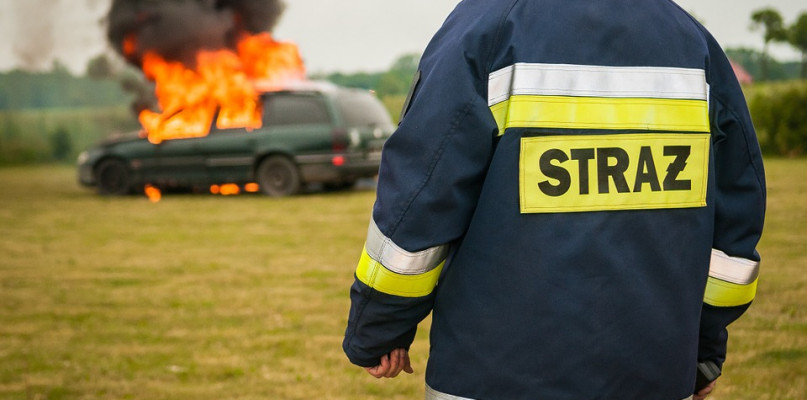 Pożary, wypadki i gniazda os, czyli: jak minął strażakom ubiegły rok? - Zdjęcie główne