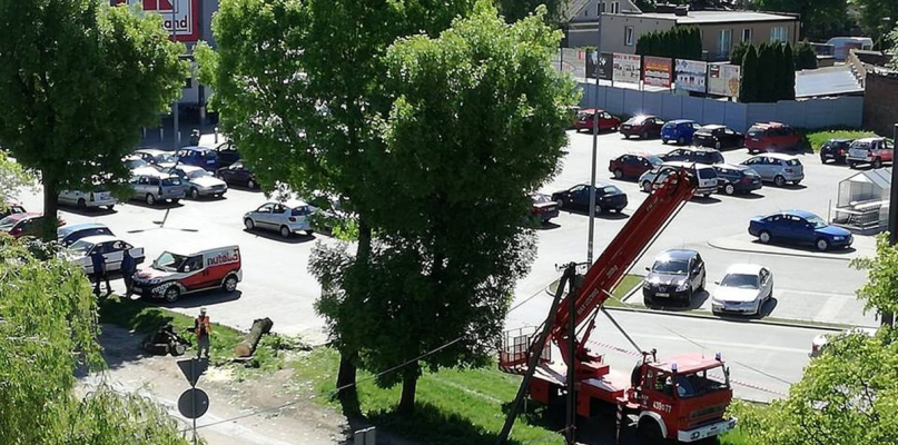 Czytelniczka alarmuje: wycinają drzewa przy ulicy Nowej [ZDJĘCIA] - Zdjęcie główne