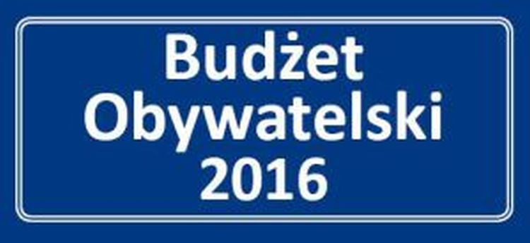 Budżet Obywatelski w Gostyninie po raz drugi - Zdjęcie główne