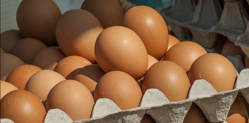 Uwaga! Skażone jajka trafiły do sprzedaży! - Zdjęcie główne