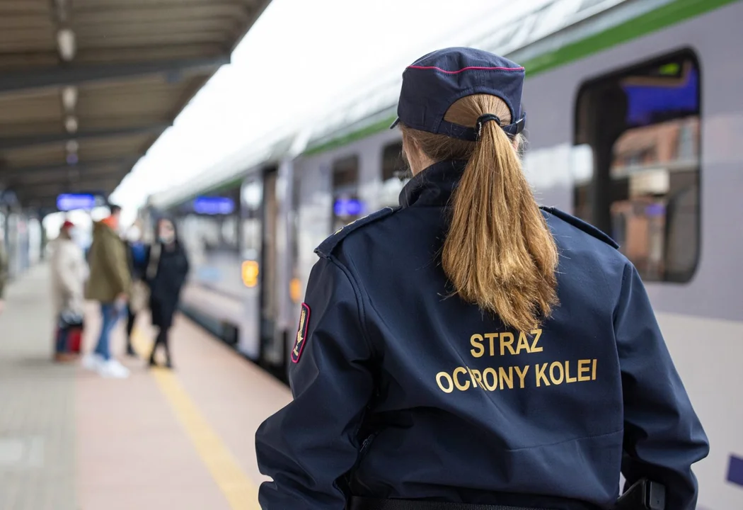 Mężczyzna spod Łodzi awanturował się w pociągu i zaatakował funkcjonariuszkę SOK - Zdjęcie główne
