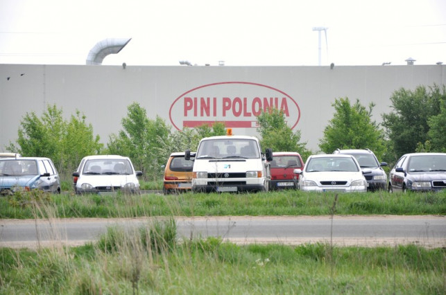 Oświadczenie prezesa zarządu Pini Polonia - "Nigdy nie łamałem prawa" - Zdjęcie główne