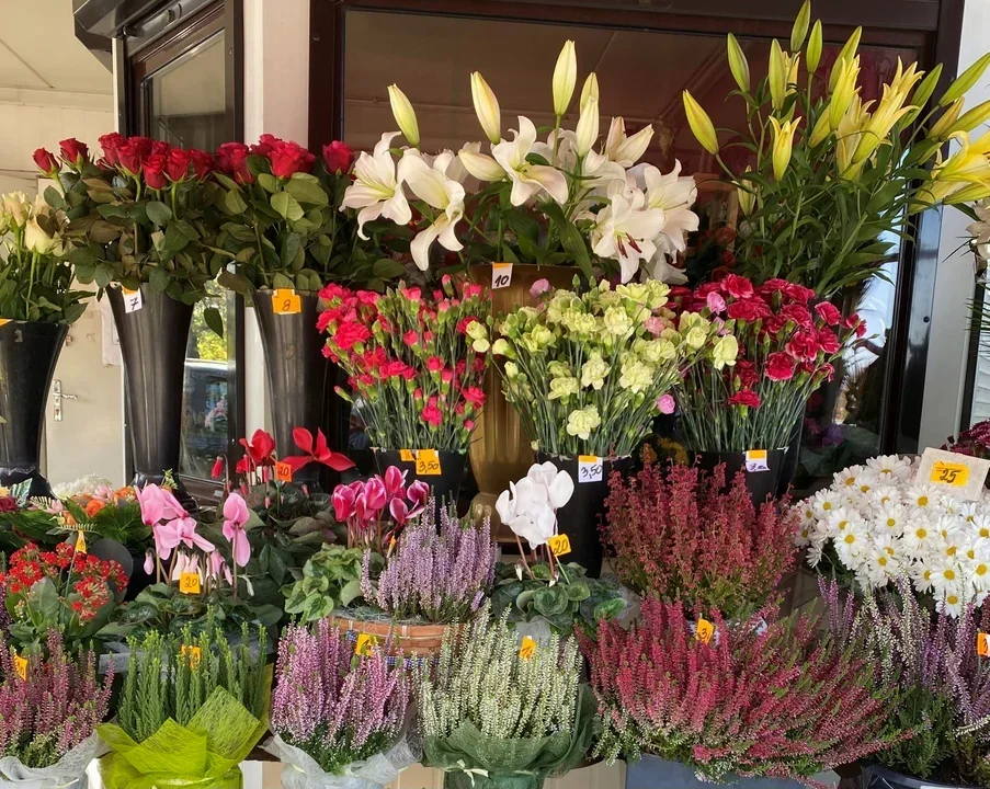 Kwiaciarnia Łódź Teofilów – gdzie kupić kwiaty na łódzkim Teofilowie? Sprawdzamy najlepsze kwiaciarnie i ich oferty - Zdjęcie główne