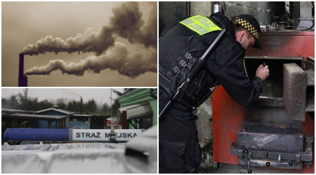 Smog w Kutnie: Wnioski do prokuratury, lawina mandatów i zapowiadane kontrole - Zdjęcie główne