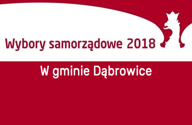 Na kogo głosować? Listy wyborcze w gminie Dąbrowice - Zdjęcie główne
