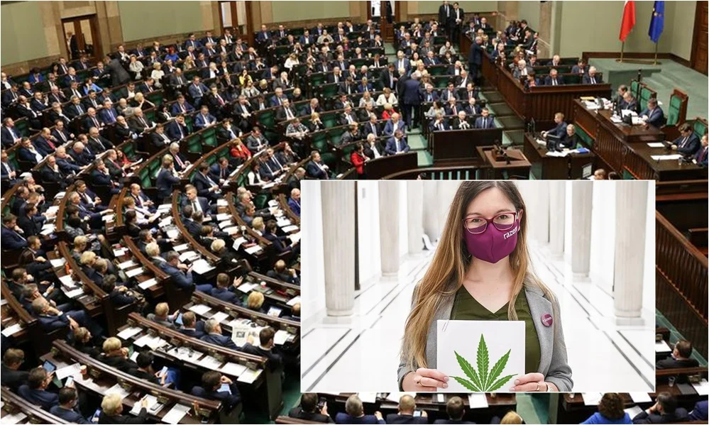 Projekt ustawy o medycznej marihuanie odrzucony. Posłanka Matysiak: „Nie poddaję się”  - Zdjęcie główne
