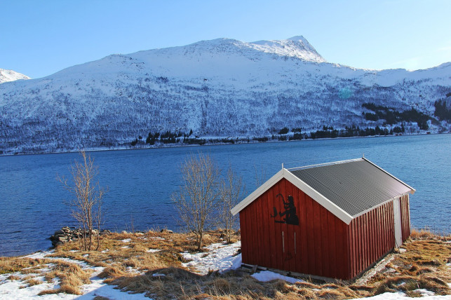 Jak wybrać kurs języka norweskiego? - Zdjęcie główne
