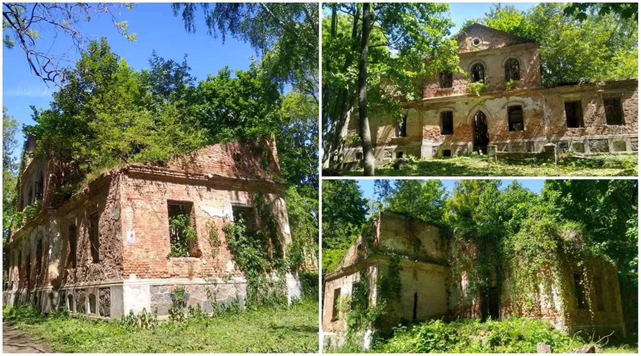 W Kutnie i w okolicach: Ruiny okazałego dworu pod miastem. Jaka jest ich historia? [ZDJĘCIA] - Zdjęcie główne