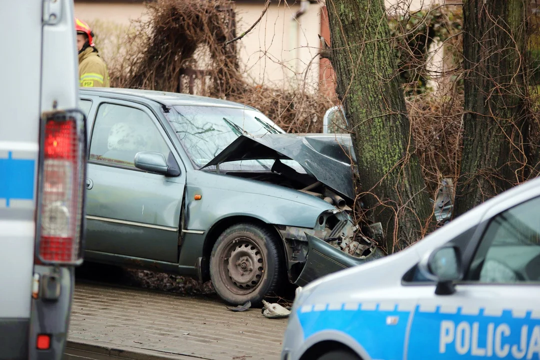 Wypadek w Kutnie. Auto rozbiło się na drzewie, jedna osoba ranna [ZDJĘCIA] - Zdjęcie główne