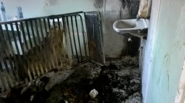 [ZDJĘCIA] [AKTUALIZACJA] Tragedia w kutnowskim szpitalu! Łóżko w ogniu, pacjent nie przeżył - Zdjęcie główne