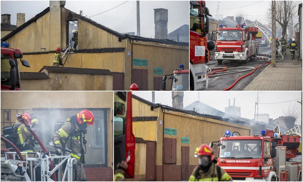 Ogromny pożar w Żychlinie, to prawdopodobnie podpalenie. W akcji kilka zastępów straży pożarnej [ZDJĘCIA] - Zdjęcie główne