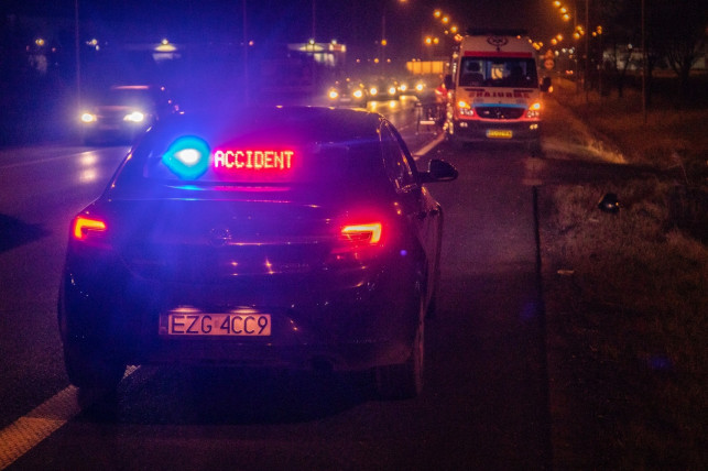 Nocna tragedia pod Kutnem. Auto roztrzaskało się na słupie, nie żyje młody mężczyzna - Zdjęcie główne