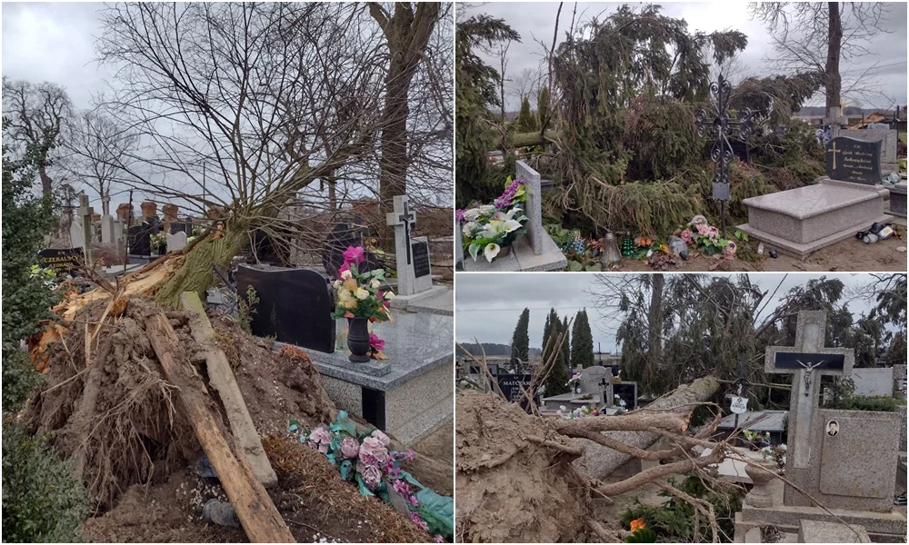 Powalone drzewa i uszkodzone groby. Ogromne zniszczenia na cmentarzu w powiecie [ZDJĘCIA] - Zdjęcie główne