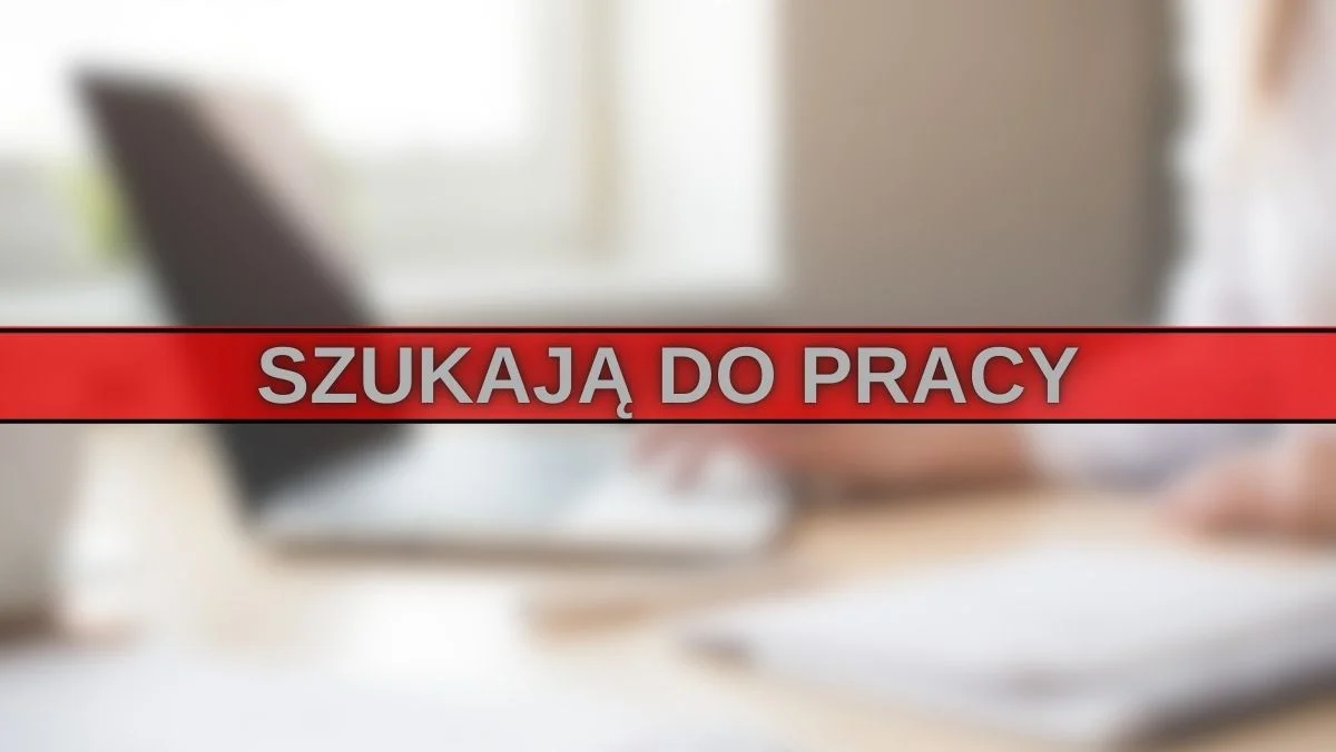 Szukasz pracy? Urząd ma ciekawą ofertę, jakie warunki trzeba spełnić? - Zdjęcie główne