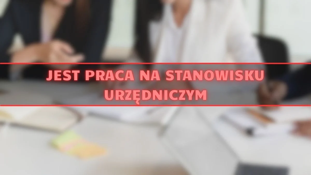 Jest praca. W tej instytucji szukają na wolne stanowisko urzędnicze - Zdjęcie główne