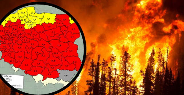 Znów można wchodzić do lasów, a w całej Polsce masowe pożary - Zdjęcie główne