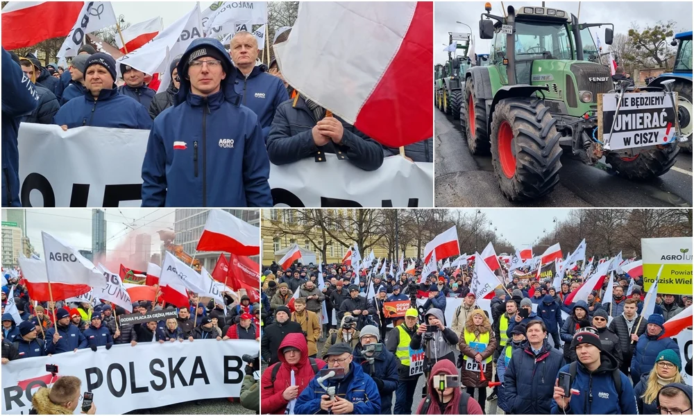 Kilkudziesięciu rolników spod Kutna protestowało w Warszawie. Liczyli na spotkanie z premierem [ZDJĘCIA, WIDEO] - Zdjęcie główne