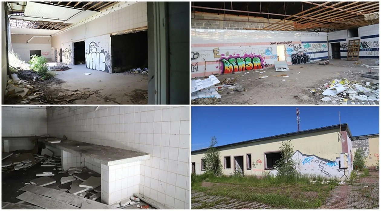 W Kutnie i okolicach: Opuszczony zakład pracy na obrzeżach miasta [ZDJĘCIA] - Zdjęcie główne