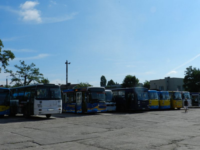 Weź udział w konkursie MZK. Wymyśl imię dla autobusu - Zdjęcie główne
