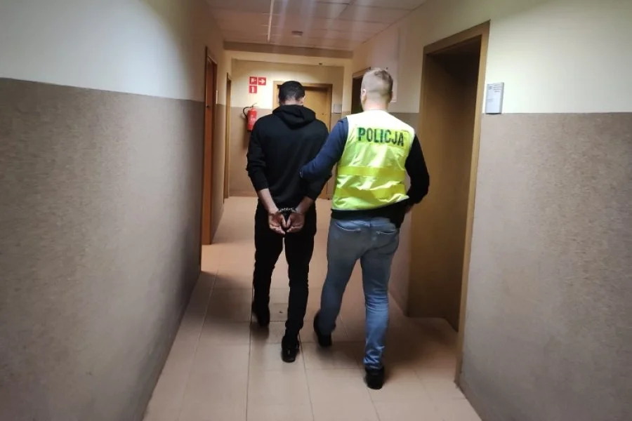 Gruzin zatrzymany przez kutnowską policję. Grozi mu 10 lat więzienia [FOTO] - Zdjęcie główne
