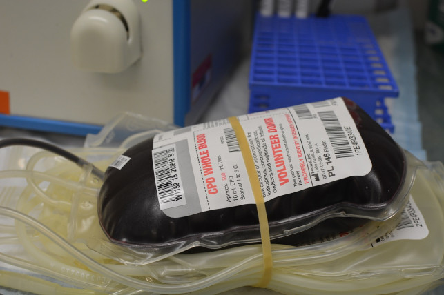 Oddawanie krwi, Internet oraz potomstwo odniży Twój PIT - Zdjęcie główne