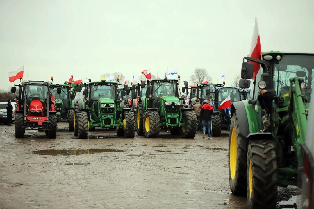 Rolnicy z powiatu kutnowskiego ruszą na Warszawę. "Musimy pokazać, że jesteśmy razem" - Zdjęcie główne