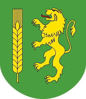 Konsultacje z organizacjami pozarządowymi - Zdjęcie główne