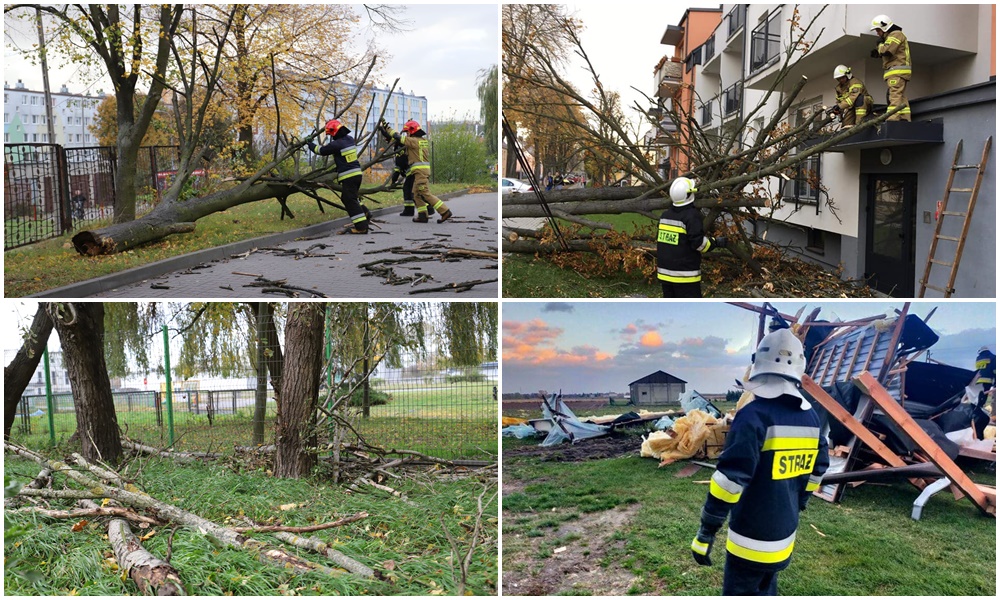 Wichura nad Kutnem: wiele interwencji strażaków, drzewo spadło na jedną ze szkół [ZDJĘCIA]  - Zdjęcie główne