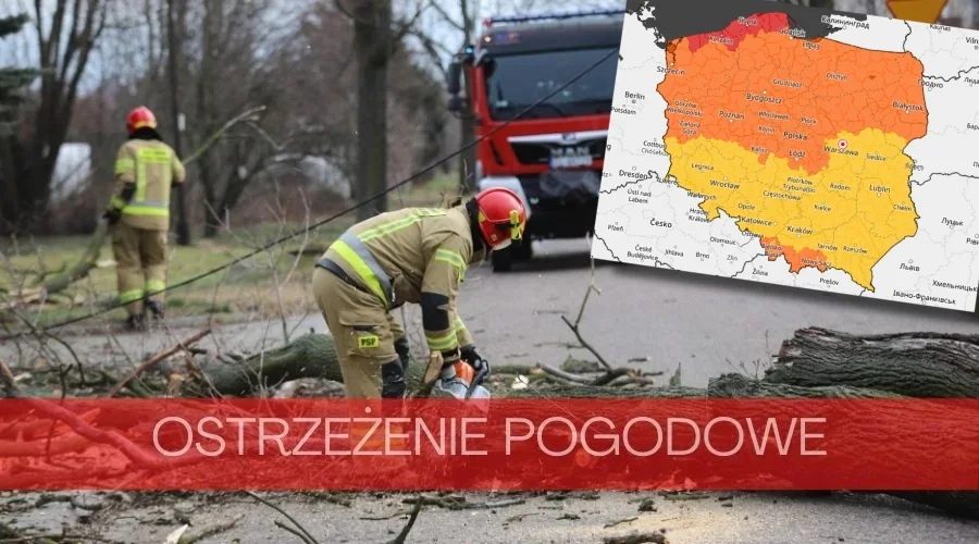 Porywy wiatru nawet do 100 km/h! IMWG wydał alert dla powiatu kutnowskiego - Zdjęcie główne