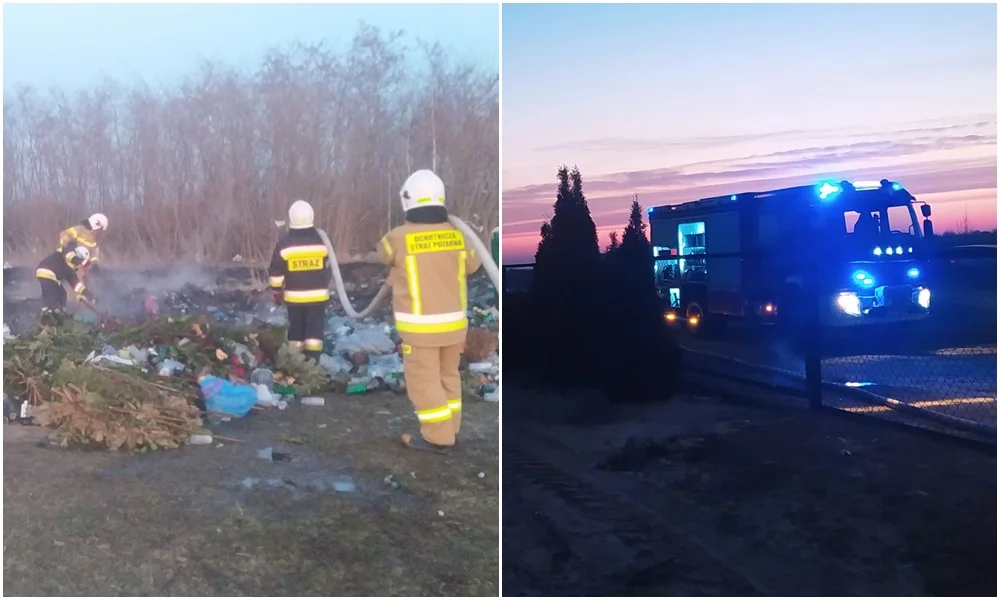 Pożar na cmentarzu w powiecie kutnowskim. Ponad godzinę walczyli z żywiołem [ZDJĘCIA] - Zdjęcie główne
