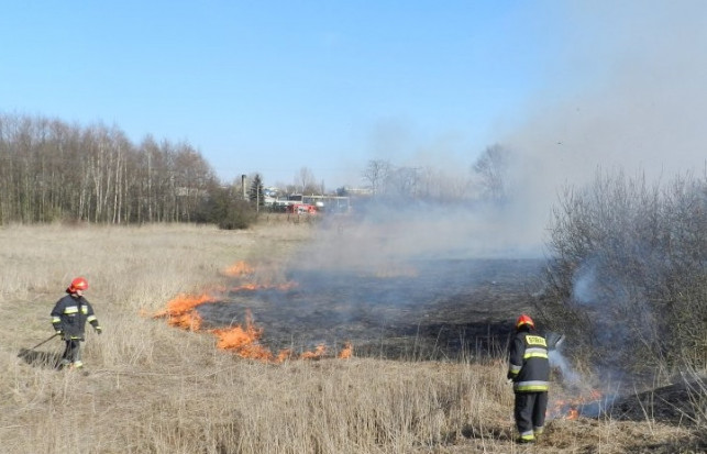 Pożar na Toruńskiej. Strażacy apelują o ostrożność - Zdjęcie główne