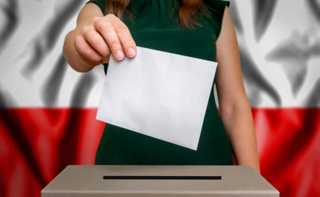 Poradnik Przedwyborczy: Listy kandydatów, zasady głosowania - Zdjęcie główne