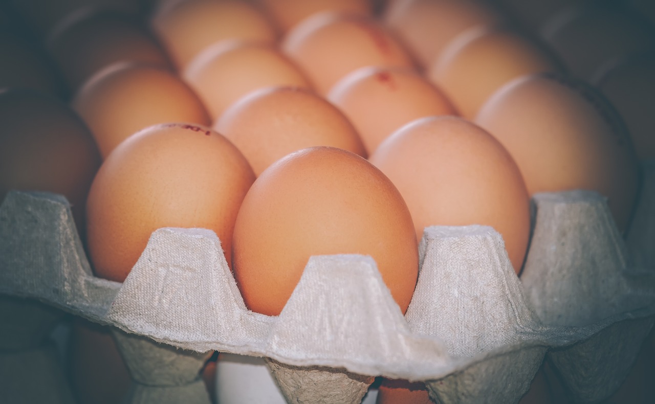 GIS ostrzega: salmonella w jajkach z Biedronki!  - Zdjęcie główne