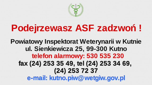 Inspektorat Weterynarii radzi jak chronić gospodarstwo przed wirusem ASF. - Zdjęcie główne